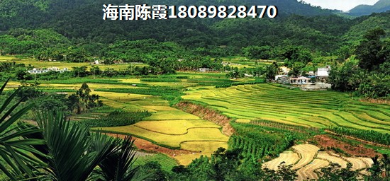 红岩新苑3室2厅1厨1卫建面101.79㎡